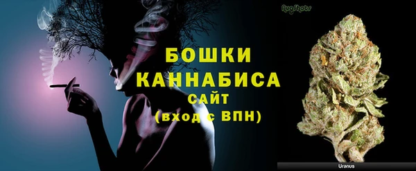 гидра Кулебаки