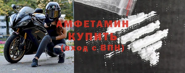 гидра Кулебаки